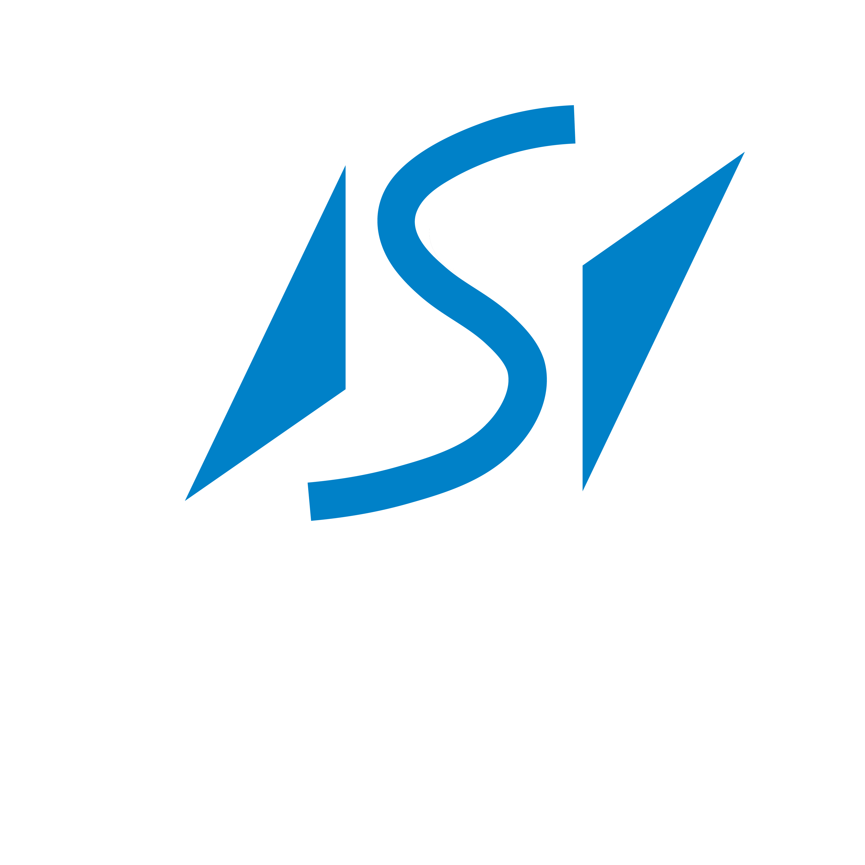 Saydan Logo