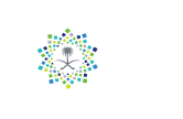 Vision 2030 Logo